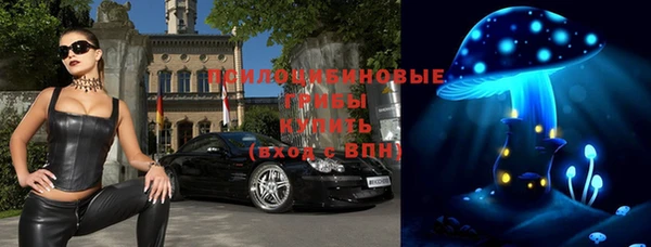 первитин Инсар