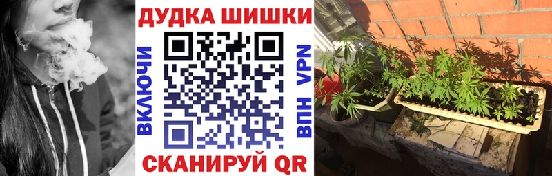МАРИХУАНА гибрид Калининец